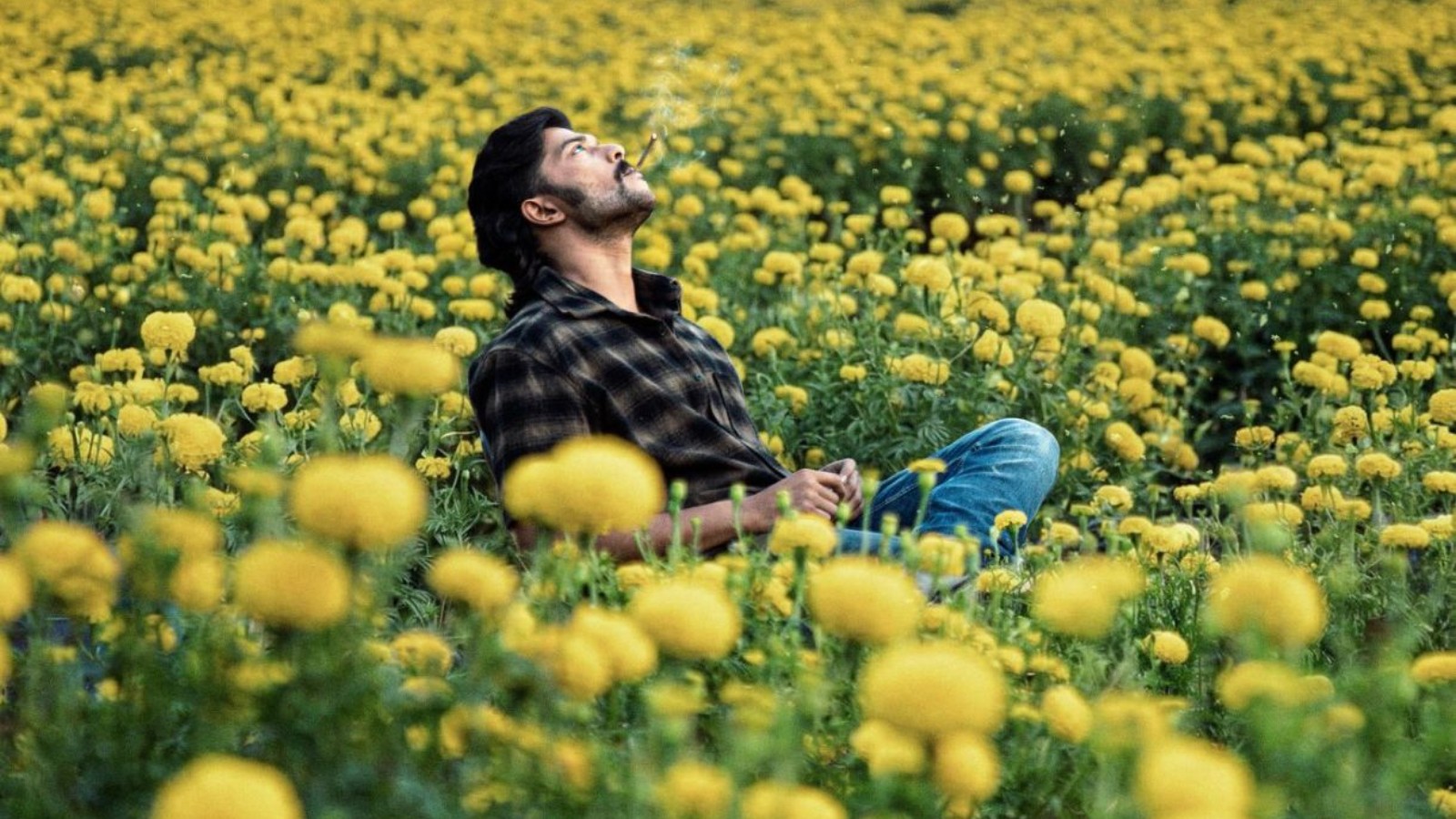 Mango Pachcha movie review: Sanchith fits the bill in film designed to justify his Jr Kichcha moniker